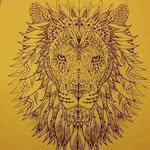 Steven Dilley - @stevebobeve2020 - Instagram