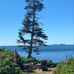 Steve Dillingham - @aquapreneur_guy - Instagram