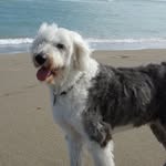 Steve Dillingham - @steve.dillingham.50 - Instagram