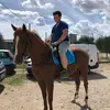 Steven Ditullio - @steven.ditullio - TikTok