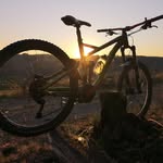 Steve Doering - @steve.doering - Instagram