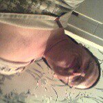 steven donato - @steveie665 - Instagram
