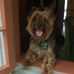 Steven Donato - Facebook