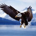 Steven Dopson - @stevendopson - Instagram