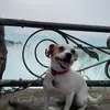 Doree Steven - @doree.steven - TikTok