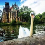 Steve Doremus - @steve.doremus - Instagram
