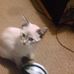 Steven Doremus - Facebook