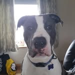 stephen doris - @stephen.doris - Instagram