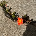 Steven Doucet - @steven16456 - Instagram