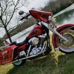 Steven Doughty - @hogg__life - Instagram