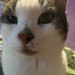 Steven Doughty - @sirdoughty - Instagram