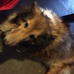 @steven.dover101287 - Instagram
