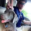 stevendowden588 - @stevendowden588 - TikTok