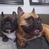 Steve Doyon908 - @stevedoyon - TikTok