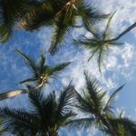 Steve Doyon - @stevedoyon - Instagram