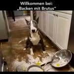 steven Drescher - @dreschersteven - Instagram