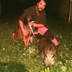 Steve Dressel - @steve.300_winmag_vogtlandjagd - Instagram