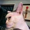 Steven Driggers - @stevendriggers6065 - TikTok