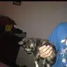 Steven Drury - @stevendrury08 - TikTok