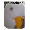 steve🦆 - @steven_theduck - TikTok