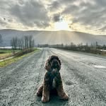 Steven Duck - @steveduck1980 - Instagram