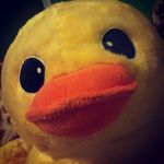 Steven Ducklington - @steven_duck_fabulous - Instagram