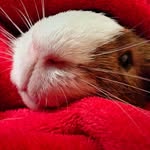 steven duckers - @steven_duckers - Instagram