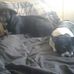 Stephen Dudding - Facebook