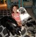 Steven Dudgeon - Facebook