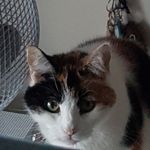 Steven duffield - @stevendufgield - Instagram