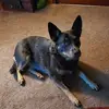 Steve Dugger - @steve.dugger6 - TikTok