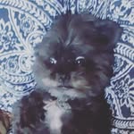 steven dugger - @sdugger63 - Instagram