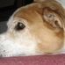 Steve Dunker - Facebook