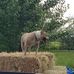 Steven Dunker - Facebook