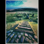 Steve Durden - @steve_durden - Instagram