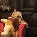 Steven Durden - Facebook