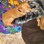 Steven Earl - @steven.earl.7712 - Instagram