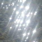 Steven Earl Weber - @stevenearlweber - Instagram