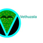Steven Earles - @vethuzala.ttv - Instagram