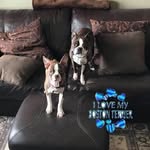 Steven Eash-Sanford - @eashsanford - Instagram