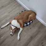 Steven Eberhardt - @steven.eberhardt1 - Instagram