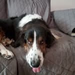Steven Eberhardt - @stevie_e82 - Instagram