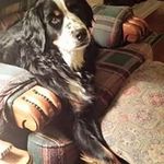 Steve Ebersole - @steveebersole - Instagram