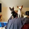 stevenedginton - @stevenedginton - TikTok