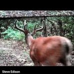 steven edison - @stevenedison015 - Instagram