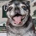 Steve Eggert - Facebook