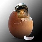 Steven Eggert Sr. - @eggert_steven_sr - Instagram
