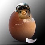 Steven Eggert Sr - @steveneggertsr - Instagram