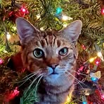 Steven Ehrhardt - Facebook