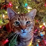 Steven Ehrhardt - @ehrhardt.steven - Instagram
